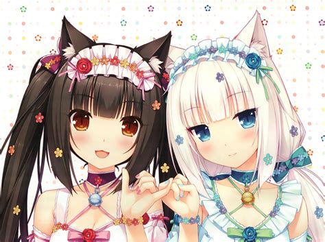 white hair, Brunette, Blue eyes, Anime, Anime girls, Neko Para ...