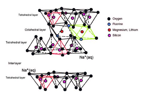 2: Schematic representation of fluorinated Na-hectorite structure ...