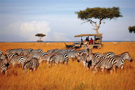 Breath Taking Serengeti Safari 03days/02nights: | Eden tours and travel