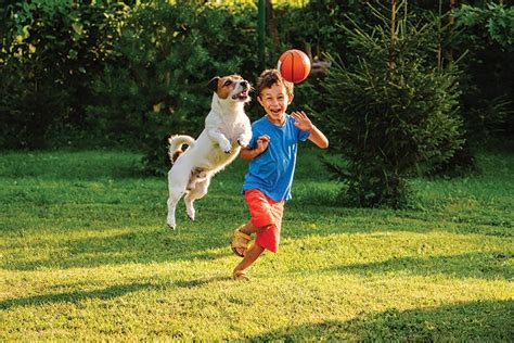 4 Fun Ways to Teach Kids & Dogs To Play Together