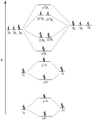 F2 Molecular Orbital Diagram Bond Order