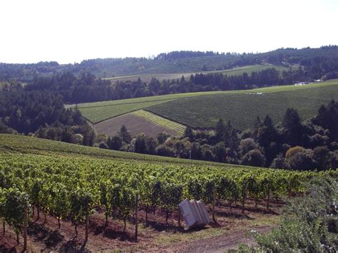 Oregon Wine Tours | Sea to Summit Tours & Adventures