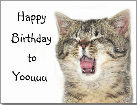 Happy Birthday To You With Cat Image - Wish Birthday – Birthday Wishes ...