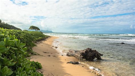 Lihue vacation packages from $2,064 | KAYAK