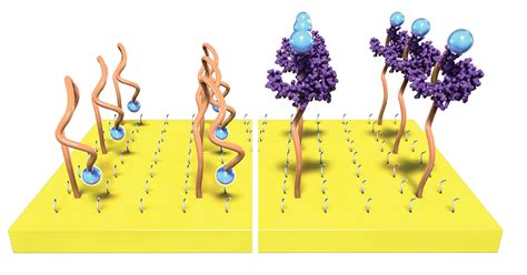 Plastic Transistor Amplifies Biochemical Sensing Signal | News ...