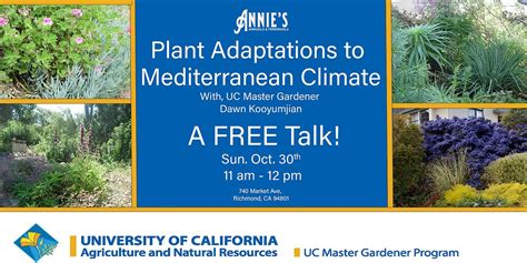 Plant Adaptations to Mediterranean Climate | Annie's Annuals ...