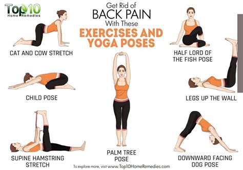 Get Rid of Back Pain with These Exercises and Yoga Poses | Top 10 Home ...