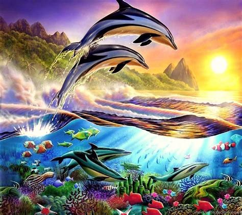 Dolphin Sunset Desktop Wallpaper