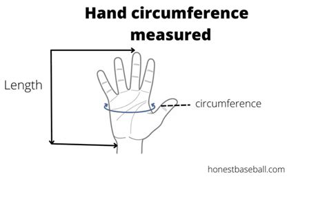 How To Measure Hand For Baseball Gloves | Honest Baseball