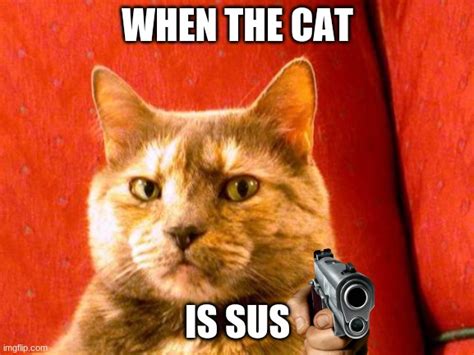 Suspicious Cat Meme - Imgflip