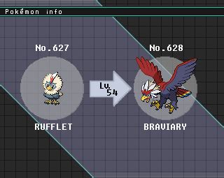 Rufflet Evolution