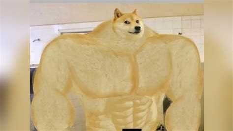 Swole Doge | Know Your Meme