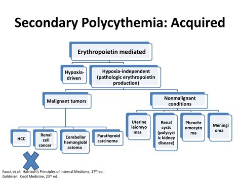 PPT - Differential Diagnosis of Polycythemia Vera PowerPoint ...