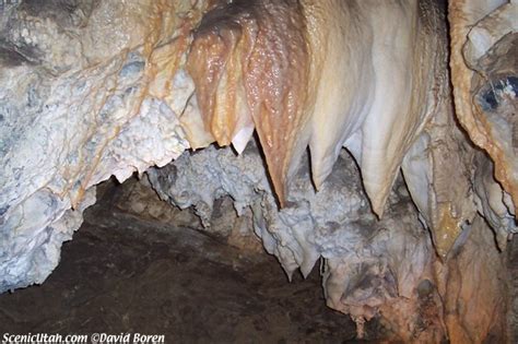 Timp Cave Picture - Timpanogos Cave National Monument - Stalactites