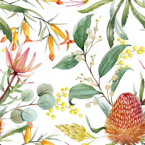 Watercolor Australian Banksia Floral Pattern Stock Photo, Picture And ...