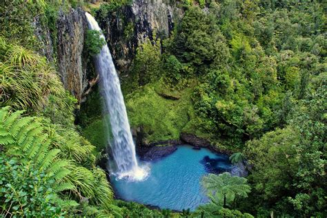 Découvrez le Parc National de Guadeloupe - Lagon Travel