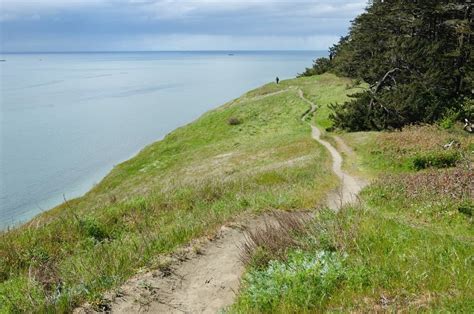 10 of the Best Hikes on Whidbey Island, WA