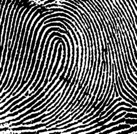 33 best images about Fingerprint Art on Pinterest | Artworks ...