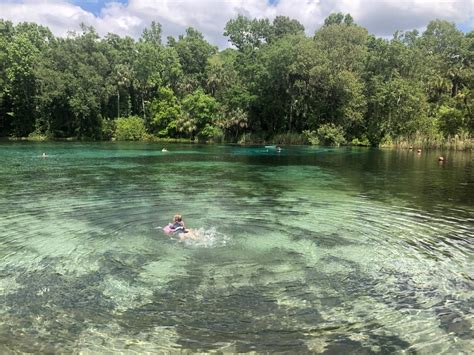 Alexander Springs- One of Florida’s Most Stunning Springs - 5 Suitcases