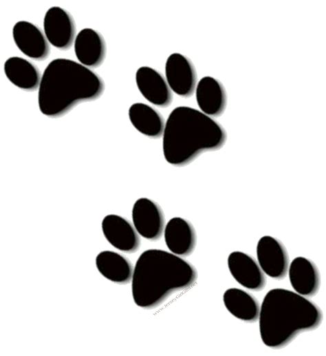 Black Paw Transparent - ClipArt Best