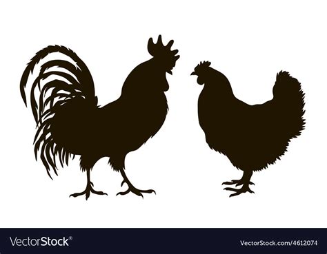 Chicken Silhouette Royalty Free Vector Image | The Best Porn Website