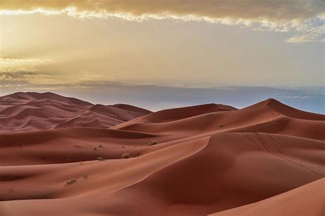 Sand Dunes In The Sahara Desert - by Starcevic