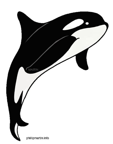 Orcas Clip Art | Clipart Panda - Free Clipart Images | Orca art, Whale ...