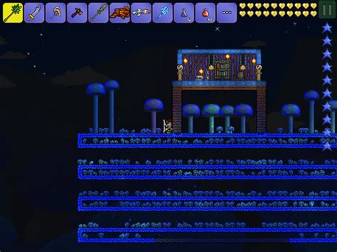 Mushroom House | Terraria Community Forums