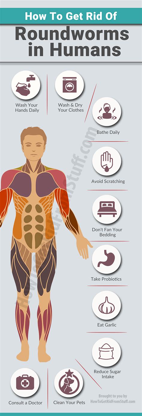 How To Get Rid Of Roundworms in Humans