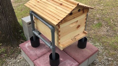 Bee Hive PVC Stand with Building Plan (Ant Free) | Bee hive stand, Hive ...