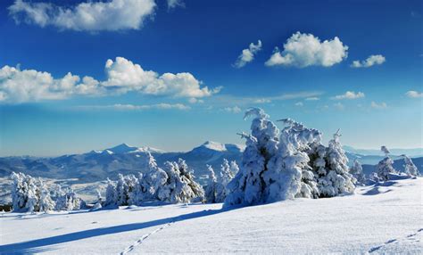 Winter Wonderland: Images of Stunning Snowy Landscapes | Live Science