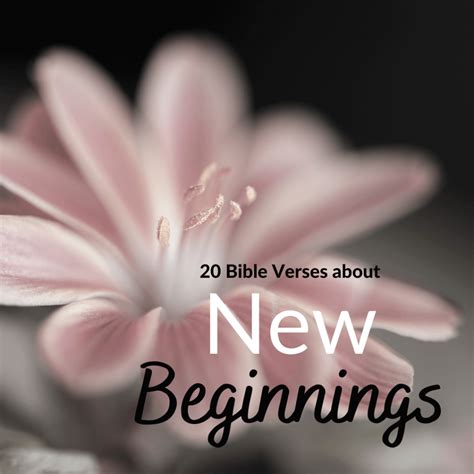 20 Bible Verses about New Beginnings - BudgetingFaithfully.com