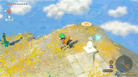 Zelda-TotK-Guide-Walkthrough-Korok-Seeds-Sky-Islands-South-048 | Game ...