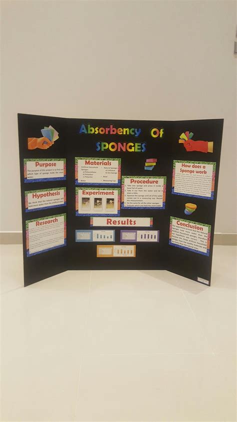 Science Fair Project Grade 6