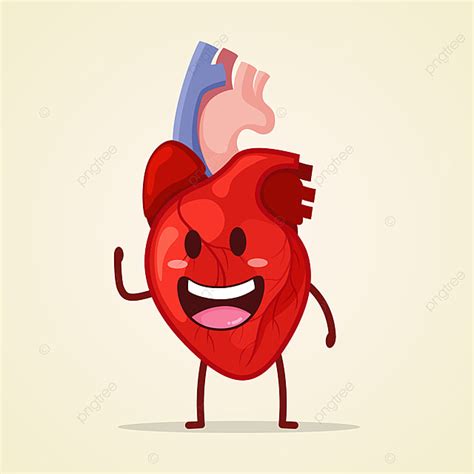 Internal Organs Clipart Transparent Background, Cute Character Heart ...