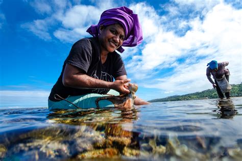 Fiji and UN collaborate to increase impact investments in coral reefs ...