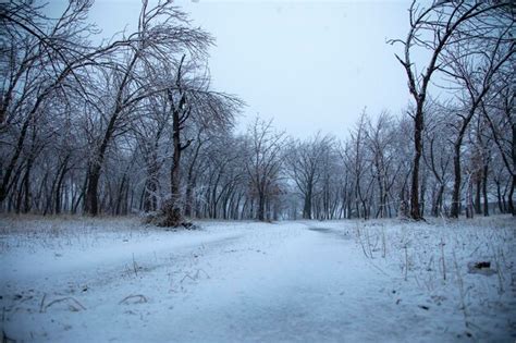 Premium Photo | Winter beautiful landscape armenia