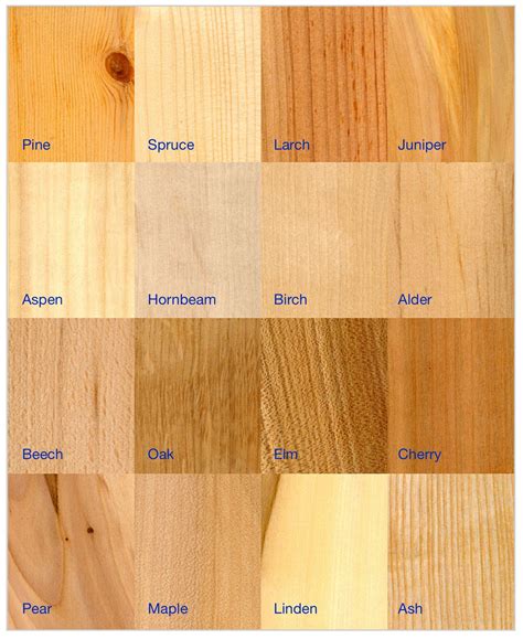 Wood - Wikipedia | Types of wood, Wooden cupboard, Staining wood