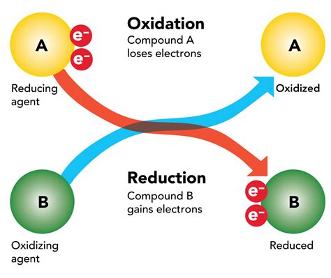 How To Lower ORP In A Reef Tank | Atlas Scientific