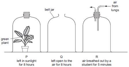 Bell jar experiment showing sound can travel in vacuum.