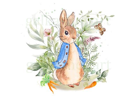 Peter Rabbit Illustrations Public Domain