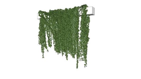 hamh | 3D Warehouse | Hanging plants, Sketchup model, Living room ...