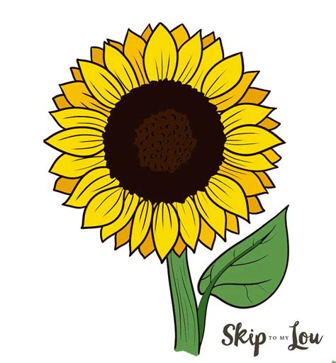 How To Draw A Sunflower