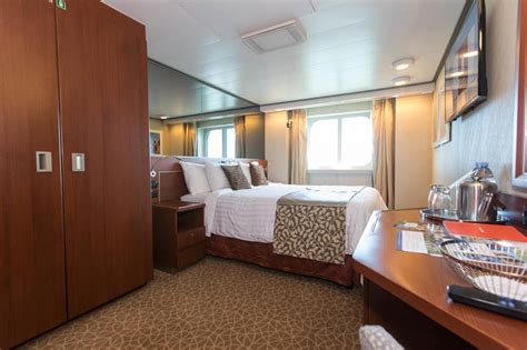 Accessible Ocean-View Cabin on Holland America Nieuw Amsterdam Ship ...