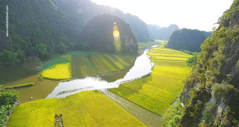 10 Best Rice Fields, Rice Terraces, Rice Paddies In Vietnam (with photos)