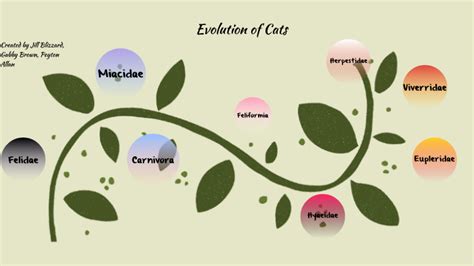 The Evolution of Cats by JILLIAN BLIZZARD on Prezi