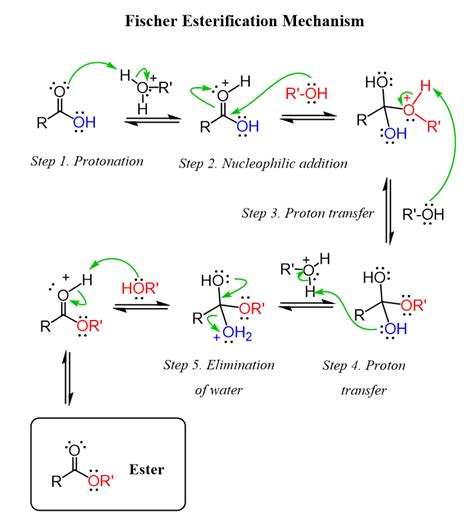 Esterification Mechanism