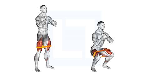 Resistance Band Squat - Guide, Benefits, and Form