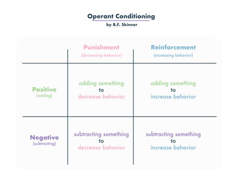 Operant Conditioning (Examples + Research) - Practical Psychology