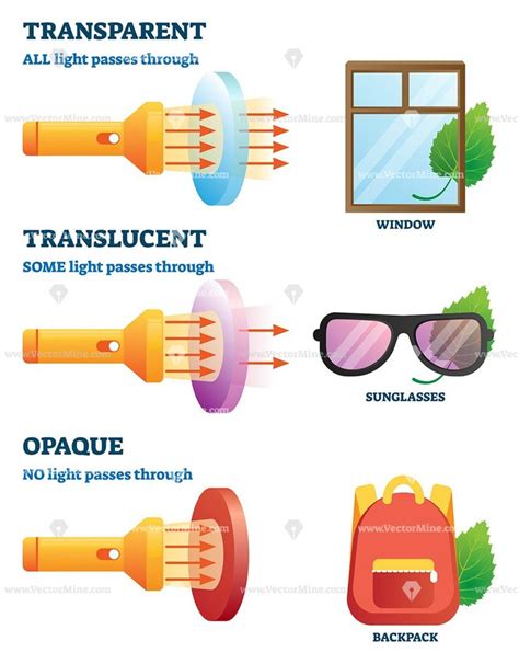 Transparent, translucent or opaque properties explanation vector illust ...